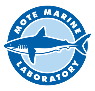 Mote_Marine_Laboratory_logo,_January_2016square